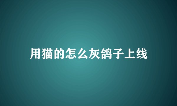 用猫的怎么灰鸽子上线