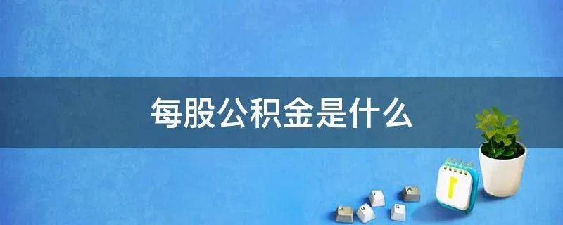 每股公积金是什么