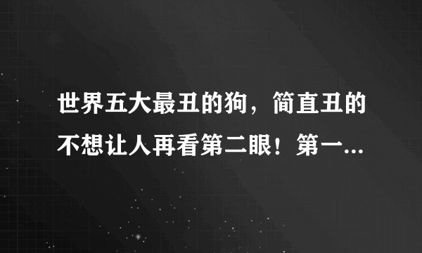 世界五大最丑的狗,简直丑的不想让人再看第二眼!第一名不忍直视