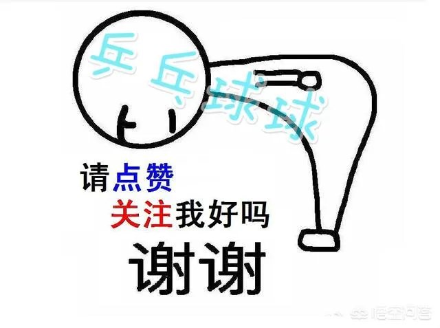 何卓佳VS索尔佳