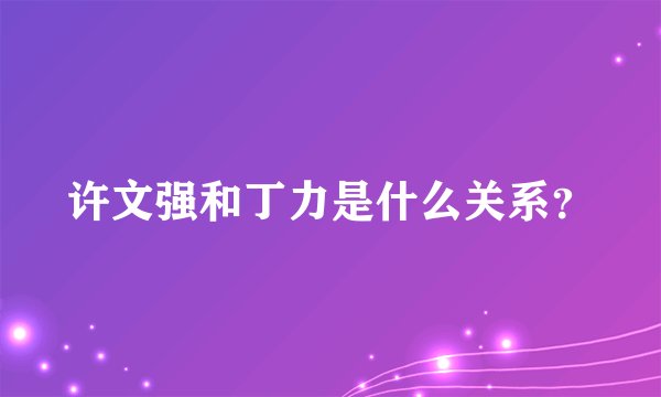 许文强和丁力是什么关系？