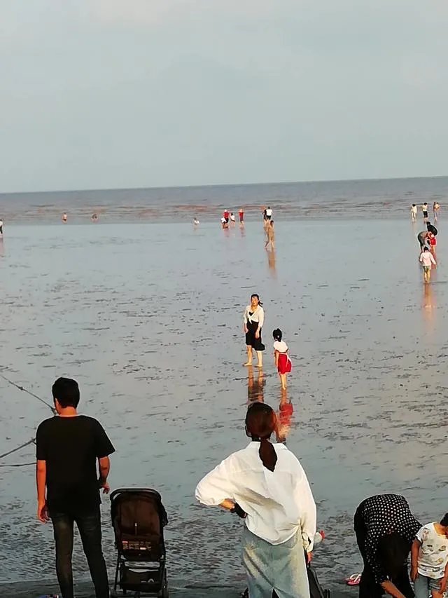 请问上海周边100公里左右自驾游有哪些景点推荐?
