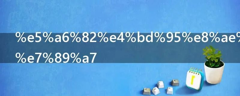 如何训练德牧