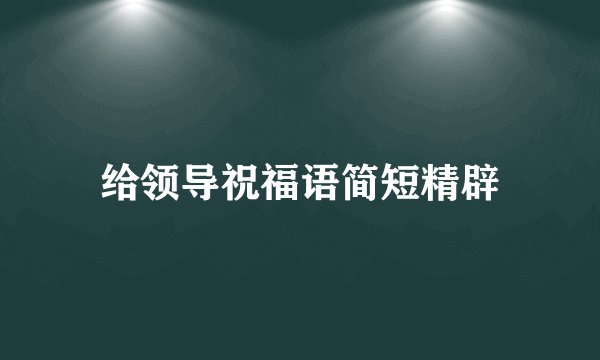 给领导祝福语简短精辟