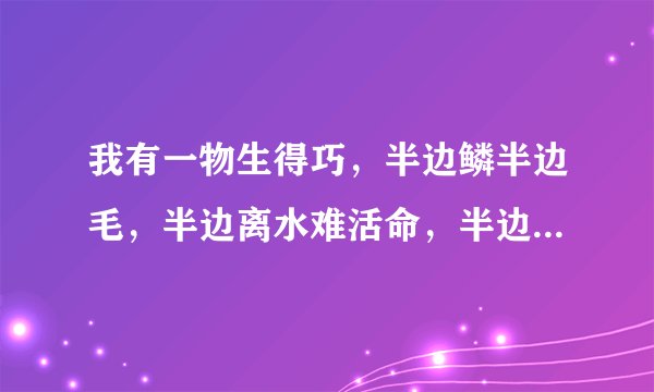 我有一物生得巧，半边鳞半边毛，半边离水难活命，半边入水命难保。（猜一字）？