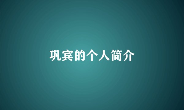 巩宾的个人简介