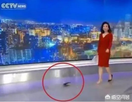 主持节目时高跟鞋掉了怎么办?