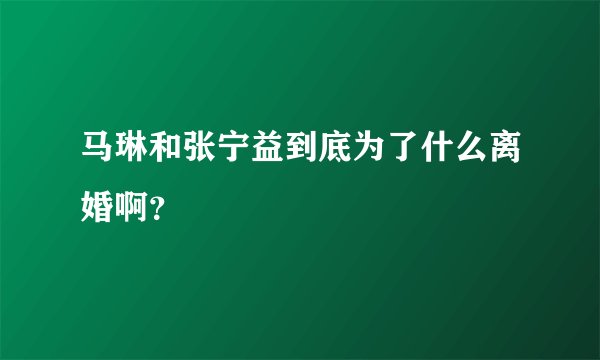 马琳和张宁益到底为了什么离婚啊?