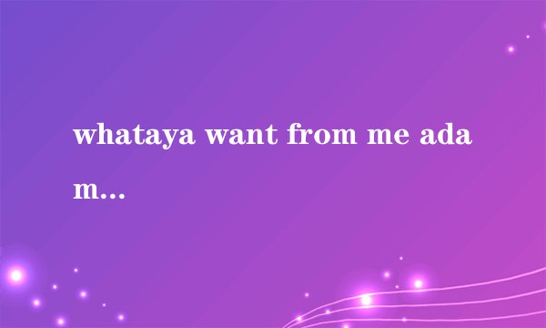 whataya want from me adam歌词翻译