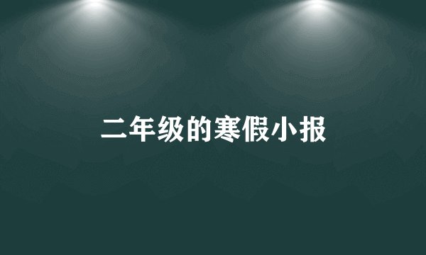 二年级的寒假小报