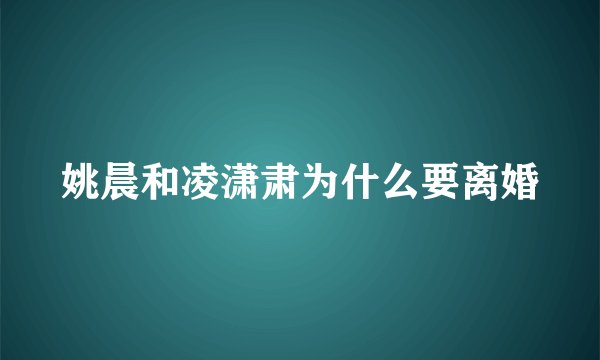 姚晨和凌潇肃为什么要离婚
