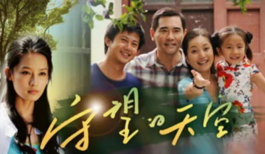 林申演过的哪些值得一看的电视剧?