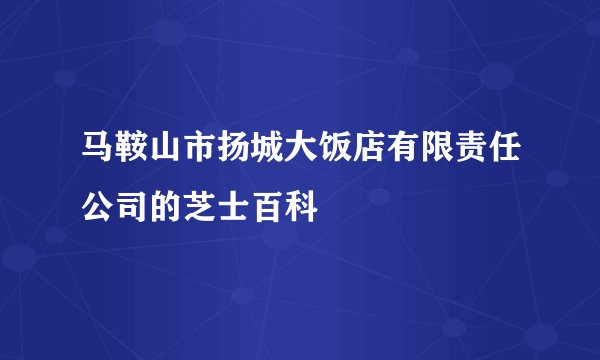 马鞍山市扬城大饭店有限责任公司的芝士百科
