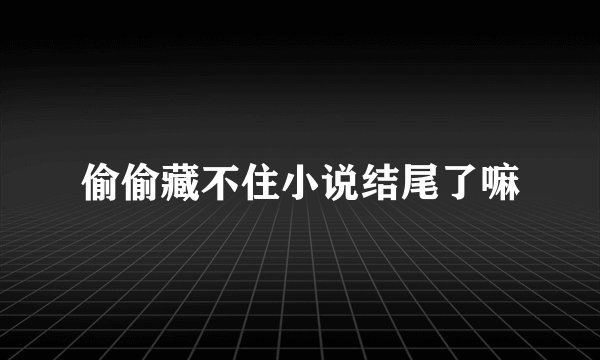 偷偷藏不住小说结尾了嘛