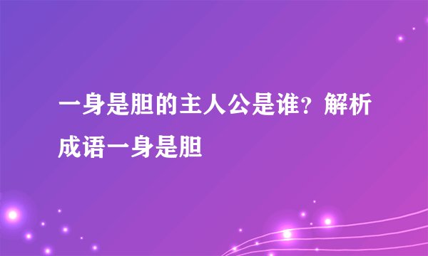 一身是胆的主人公是谁?解析成语一身是胆