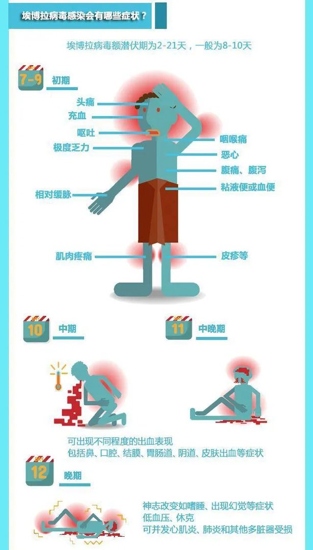 全球卫生紧急事件?一图看懂:90%致死率的“埃博拉”到底是什么