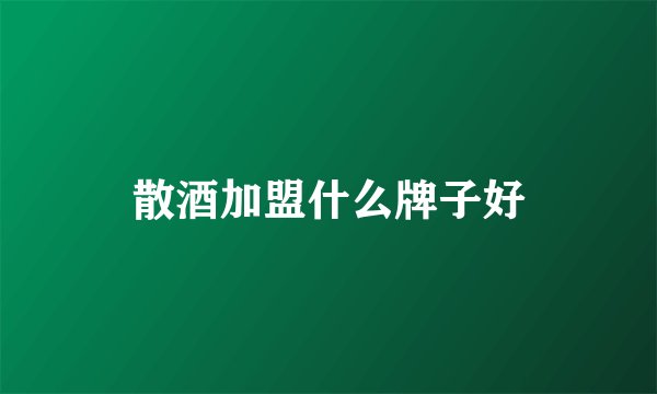 散酒加盟什么牌子好