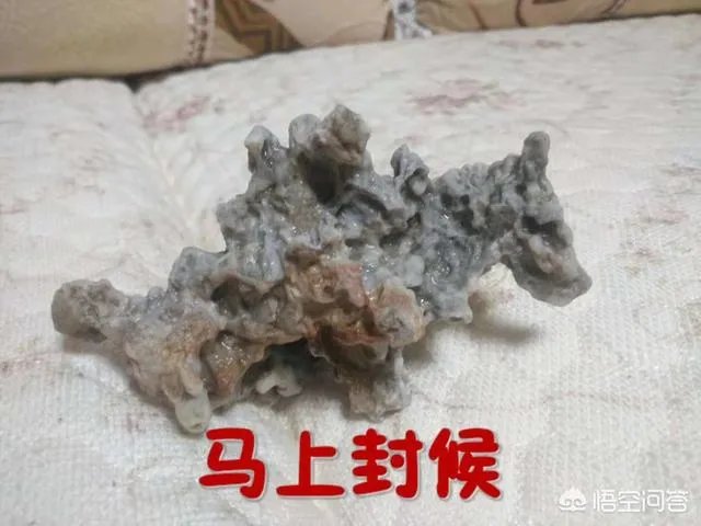 海军70周年庆给你带来什么感受?