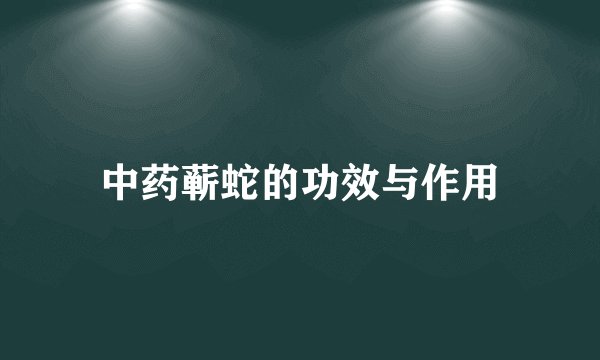 中药蕲蛇的功效与作用