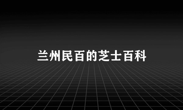 兰州民百的芝士百科