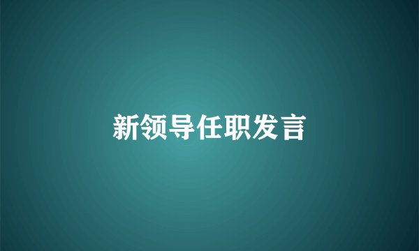 新领导任职发言