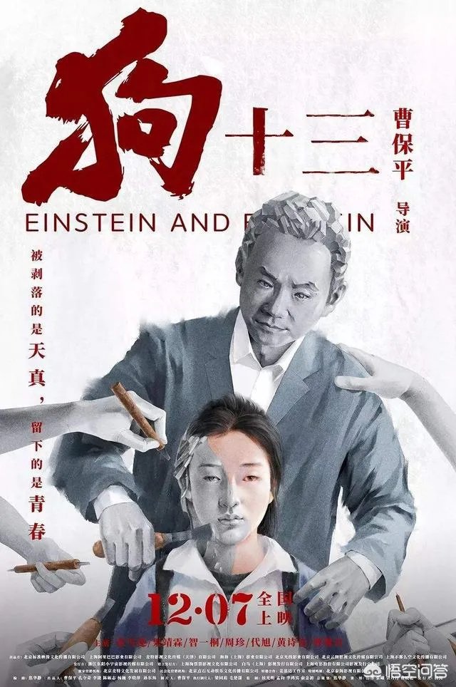 《狗十三》到底讲了什么?