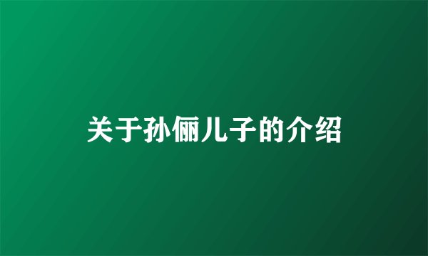 关于孙俪儿子的介绍
