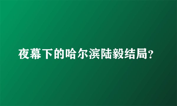 夜幕下的哈尔滨陆毅结局？