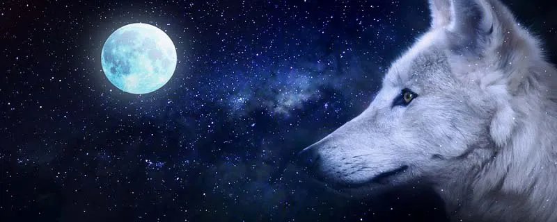 白眼狼的典故