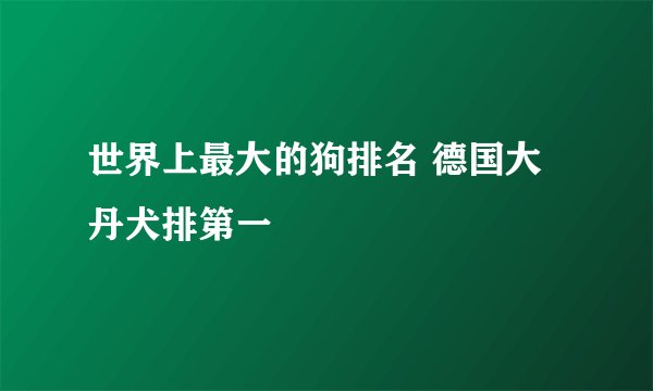 世界上最大的狗排名 德国大丹犬排第一