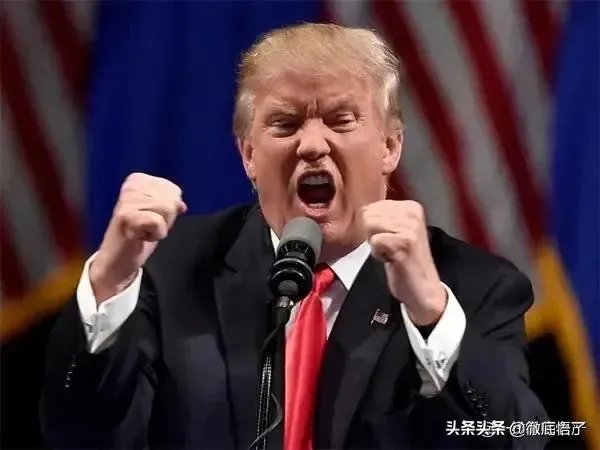 拜登支持率领先特朗普两位数,美国民调靠谱吗?