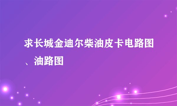求长城金迪尔柴油皮卡电路图、油路图