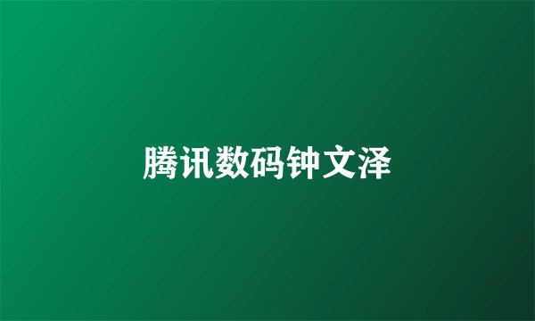 腾讯数码钟文泽