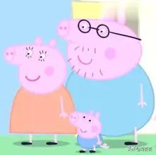 美国市场无肉可卖,为何养殖户却对猪进行安乐死,尸体堆积如山?