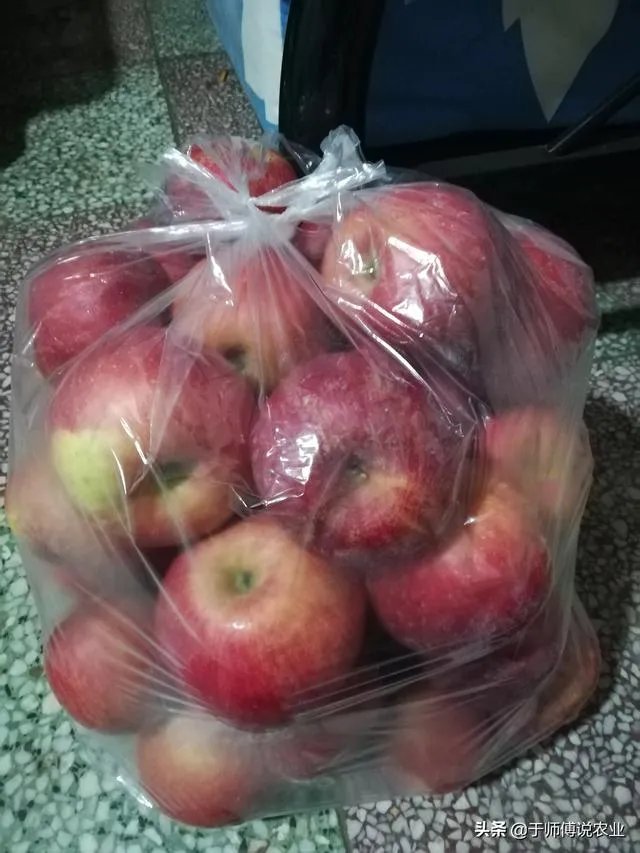 有机农业到底应该怎么做?市场上有几个农产品,是真正达到有机农产品的标准呢?