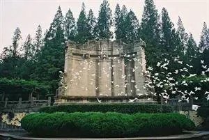 南京有哪些地方值得摄影师去拍照?