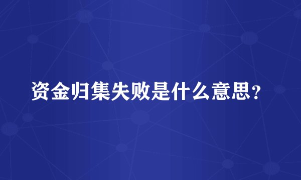资金归集失败是什么意思？