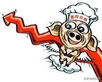 请问现在猪肉价格为啥居高不下,什么时候能降下来?