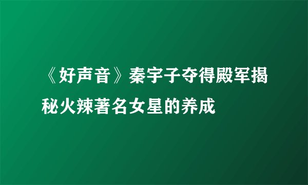 《好声音》秦宇子夺得殿军揭秘火辣著名女星的养成