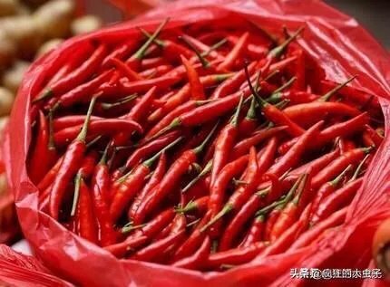 如何切辣椒不辣手?