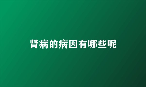 肾病的病因有哪些呢