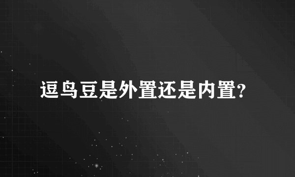 逗鸟豆是外置还是内置？
