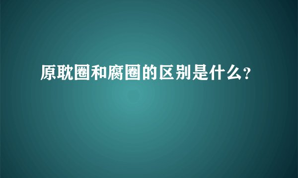 原耽圈和腐圈的区别是什么？