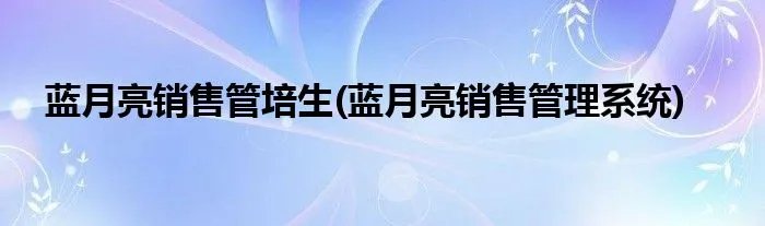 蓝月亮销售管培生(蓝月亮销售管理系统)
