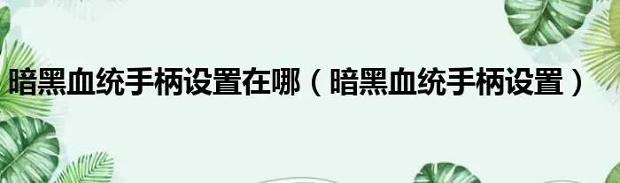 暗黑血统手柄设置在哪（暗黑血统手柄设置）