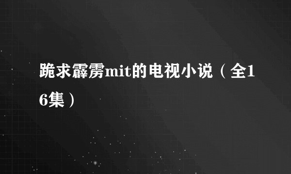 跪求霹雳mit的电视小说（全16集）