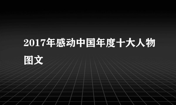 2017年感动中国年度十大人物图文