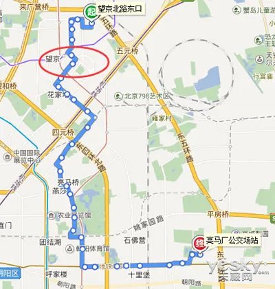 司机猝死公交撞树 生前及时踩了刹车,无人伤亡