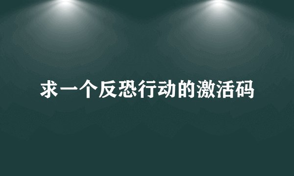 求一个反恐行动的激活码