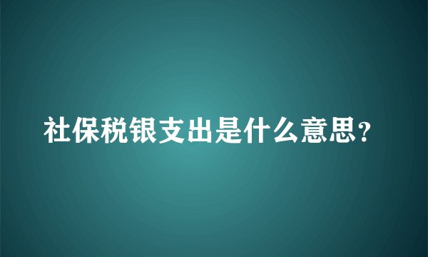 社保税银支出是什么意思？